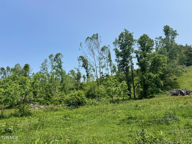 00 Antioch Rd, Mountain City, TN 37683 - photo 4