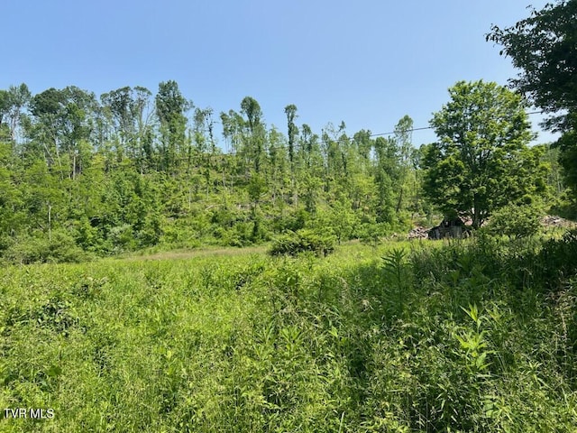 00 Antioch Rd, Mountain City, TN 37683 - photo 16