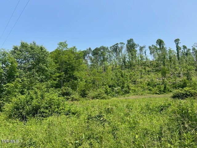 00 Antioch Rd, Mountain City, TN 37683 - photo 17