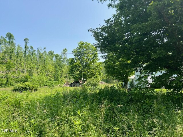 00 Antioch Rd, Mountain City, TN 37683 - photo 18