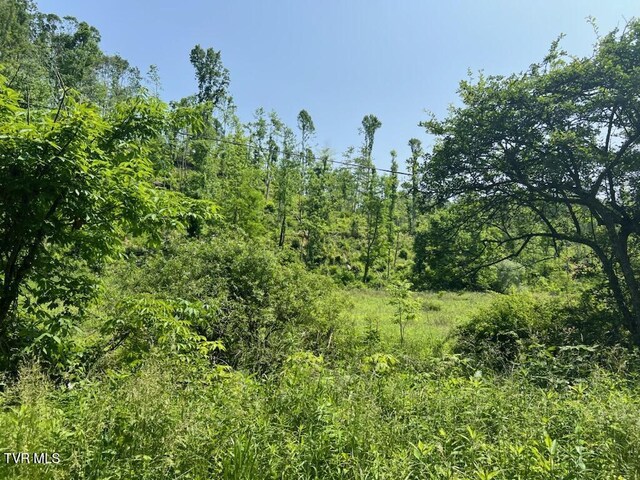 00 Antioch Rd, Mountain City, TN 37683 - photo 19