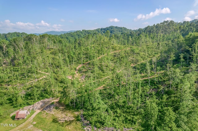 00 Antioch Rd, Mountain City, TN 37683 - photo 1