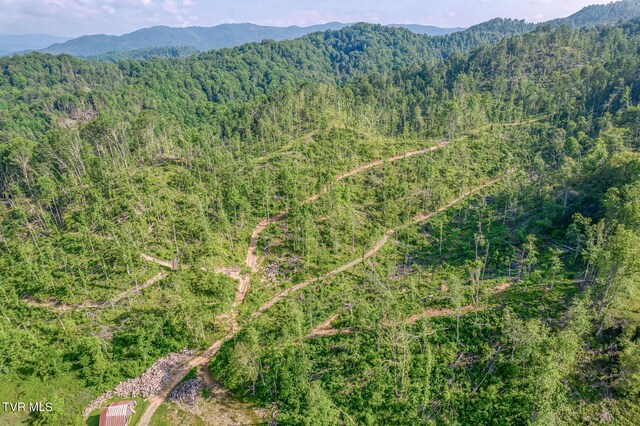 00 Antioch Rd, Mountain City, TN 37683 - photo 10