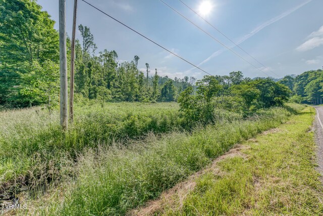 00 Antioch Rd, Mountain City, TN 37683 - photo 14