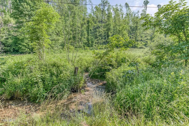 00 Antioch Rd, Mountain City, TN 37683 - photo 3
