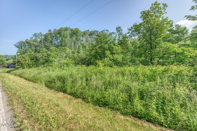 00 Antioch Rd, Mountain City, TN 37683 - photo 20