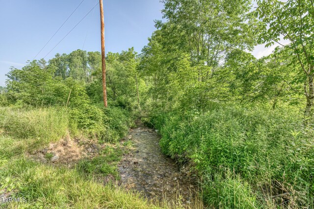 00 Antioch Rd, Mountain City, TN 37683 - photo 21