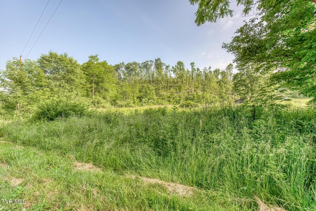 00 Antioch Rd, Mountain City, TN 37683 - photo 22