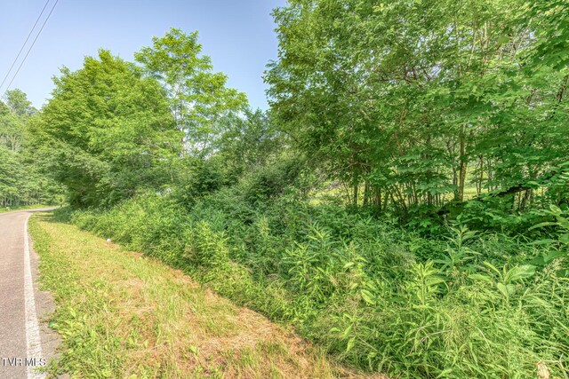 00 Antioch Rd, Mountain City, TN 37683 - photo 23