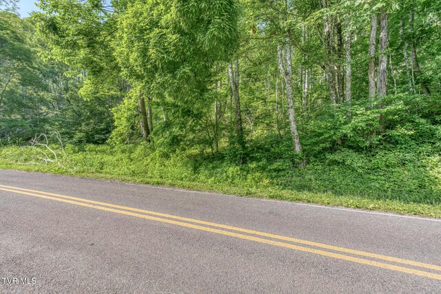 00 Antioch Rd, Mountain City, TN 37683 - photo 26