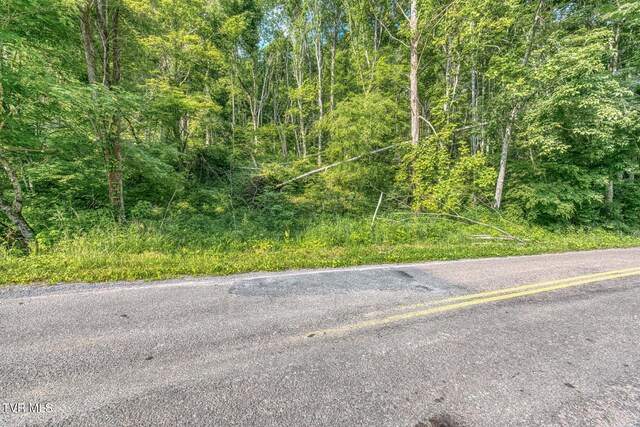 00 Antioch Rd, Mountain City, TN 37683 - photo 27