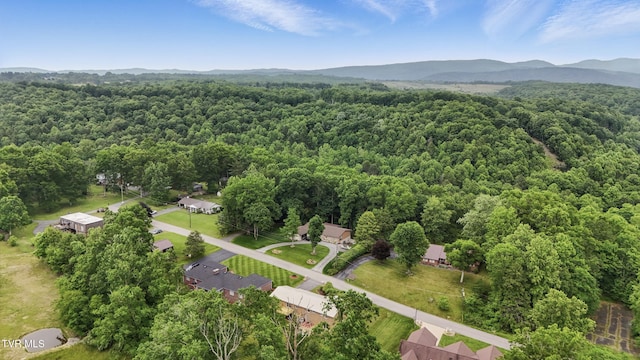 5530 Paramont Rd, Wise, VA 24293 - drone / aerial view of a forest and a mountainous background