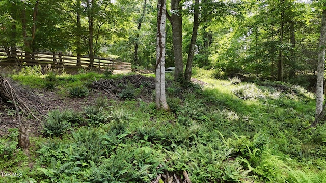 TR1 Atwood Pt, Butler, TN 37640 - photo 1