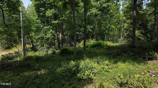 TR1 Atwood Pt, Butler, TN 37640 - photo 2