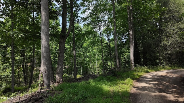 TR1 Atwood Pt, Butler, TN 37640 - photo 3