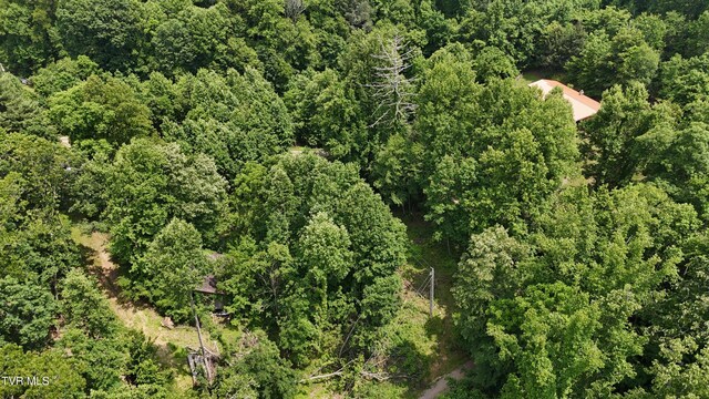 TR1 Atwood Pt, Butler, TN 37640 - photo 4