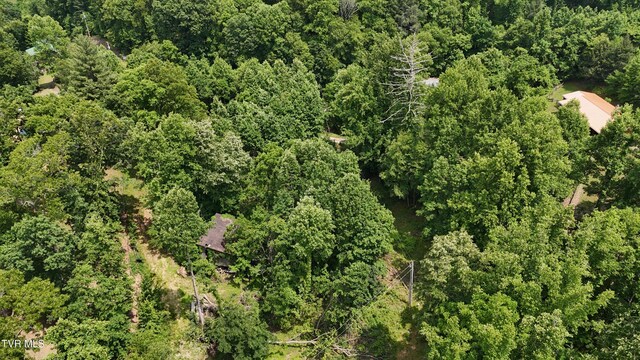 TR1 Atwood Pt, Butler, TN 37640 - photo 5