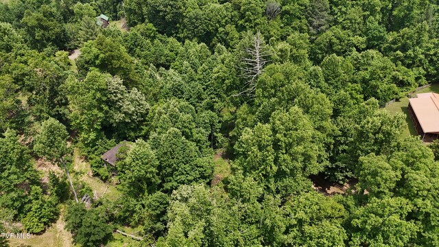 TR1 Atwood Pt, Butler, TN 37640 - photo 7