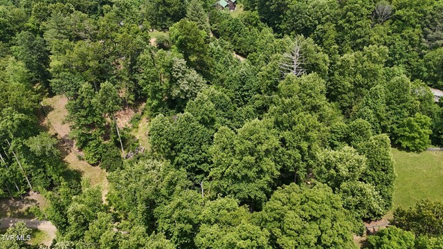 TR1 Atwood Pt, Butler, TN 37640 - photo 8