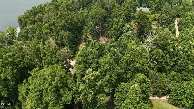 TR1 Atwood Pt, Butler, TN 37640 - photo 9