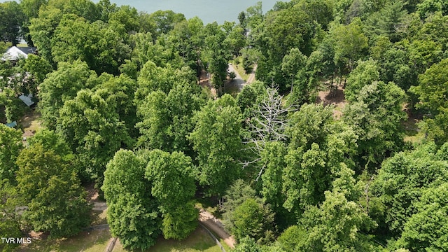TR1 Atwood Pt, Butler, TN 37640 - photo 10