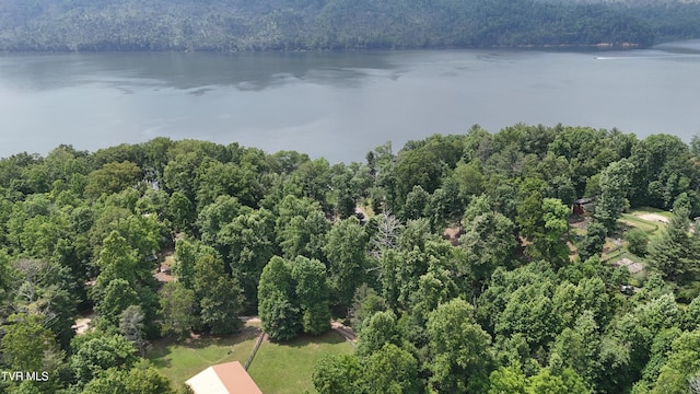 TR1 Atwood Pt, Butler, TN 37640 - photo 11