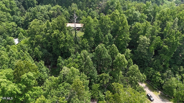 TR1 Atwood Pt, Butler, TN 37640 - photo 17