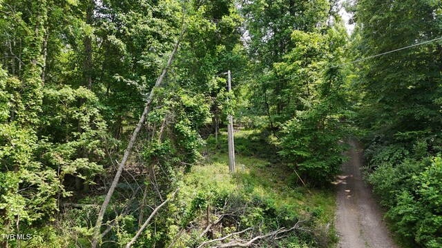 TR1 Atwood Pt, Butler, TN 37640 - photo 18