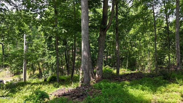 TR1 Atwood Pt, Butler, TN 37640 - photo 20