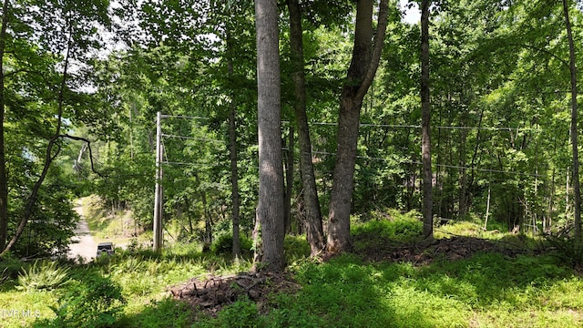 TR1 Atwood Pt, Butler, TN 37640 - photo 21