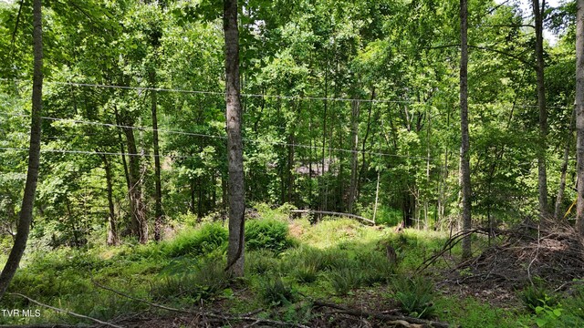 TR1 Atwood Pt, Butler, TN 37640 - photo 22