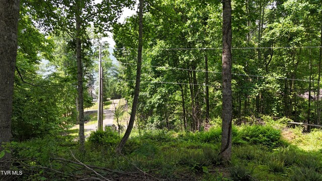 TR1 Atwood Pt, Butler, TN 37640 - photo 23
