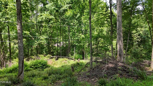 TR1 Atwood Pt, Butler, TN 37640 - photo 24