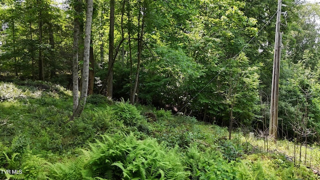 TR1 Atwood Pt, Butler, TN 37640 - photo 25