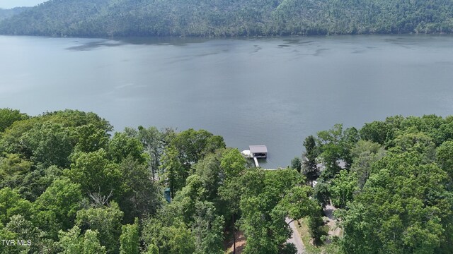 TR1 Atwood Pt, Butler, TN 37640 - photo 30