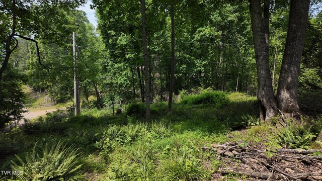 TR1 Atwood Pt, Butler, TN 37640 - photo 32