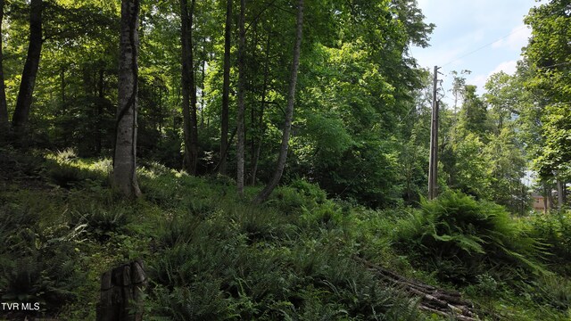 TR1 Atwood Pt, Butler, TN 37640 - photo 33
