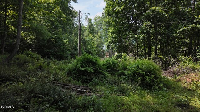 TR1 Atwood Pt, Butler, TN 37640 - photo 34