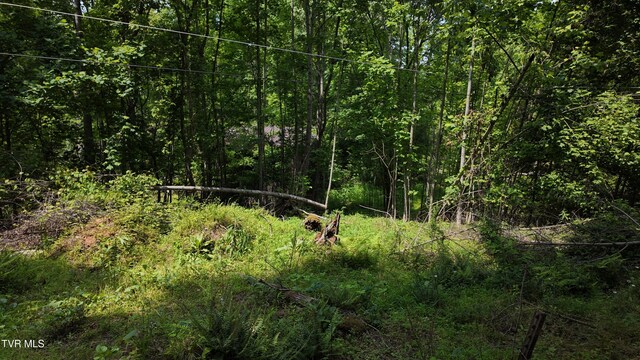 TR1 Atwood Pt, Butler, TN 37640 - photo 35