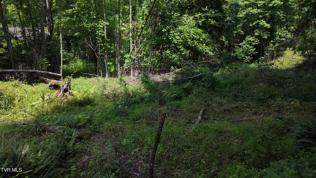 TR1 Atwood Pt, Butler, TN 37640 - photo 36