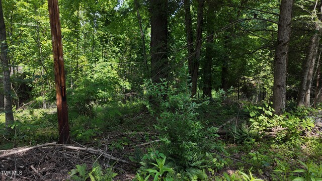 TR1 Atwood Pt, Butler, TN 37640 - photo 37