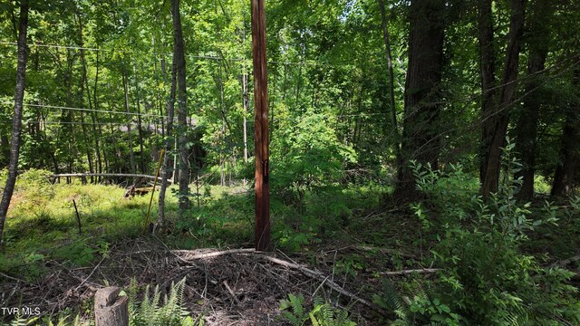TR1 Atwood Pt, Butler, TN 37640 - photo 38