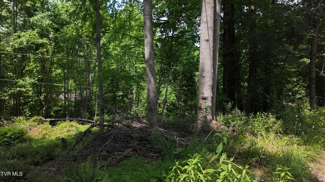 TR1 Atwood Pt, Butler, TN 37640 - photo 39