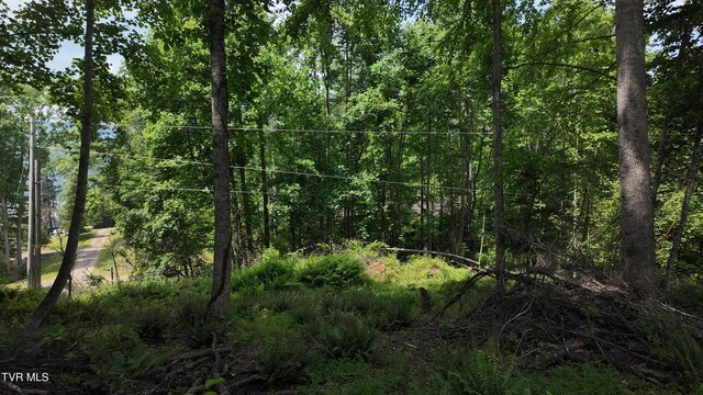 TR1 Atwood Pt, Butler, TN 37640 - photo 40