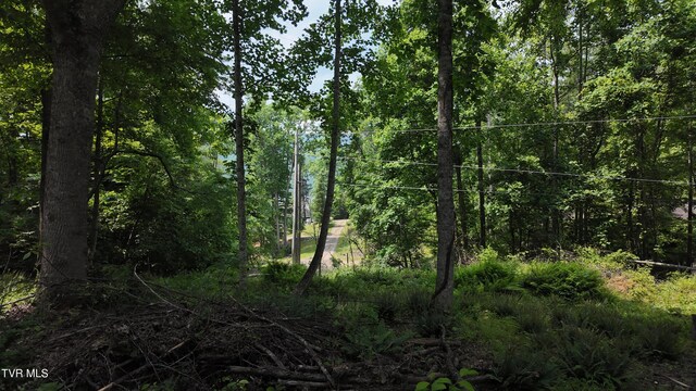 TR1 Atwood Pt, Butler, TN 37640 - photo 41