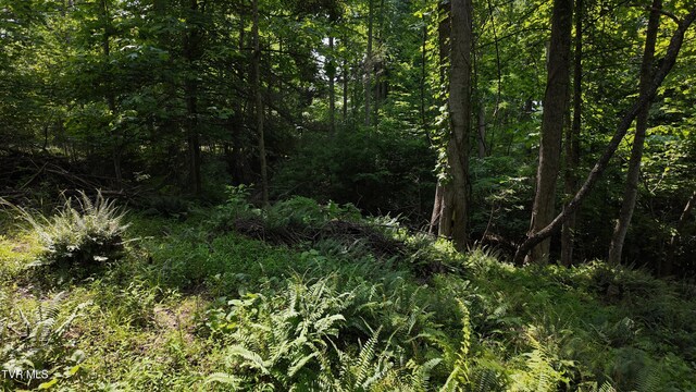 TR1 Atwood Pt, Butler, TN 37640 - photo 42