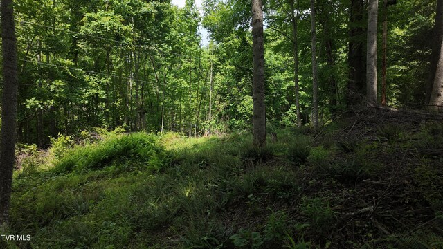 TR1 Atwood Pt, Butler, TN 37640 - photo 43