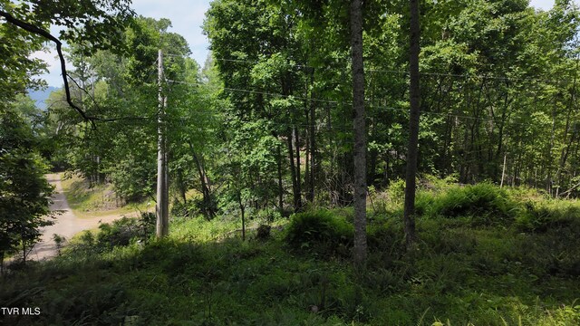 TR1 Atwood Pt, Butler, TN 37640 - photo 44