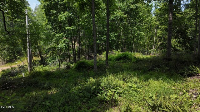 TR1 Atwood Pt, Butler, TN 37640 - photo 45