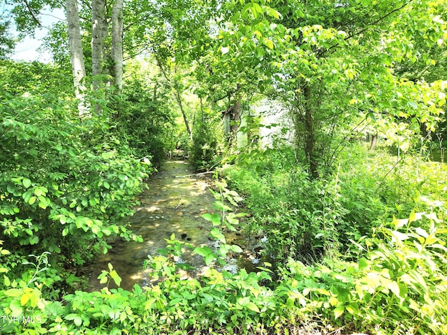 2428 Middle Creek Rd, Afton, TN 37616 - view of local wilderness